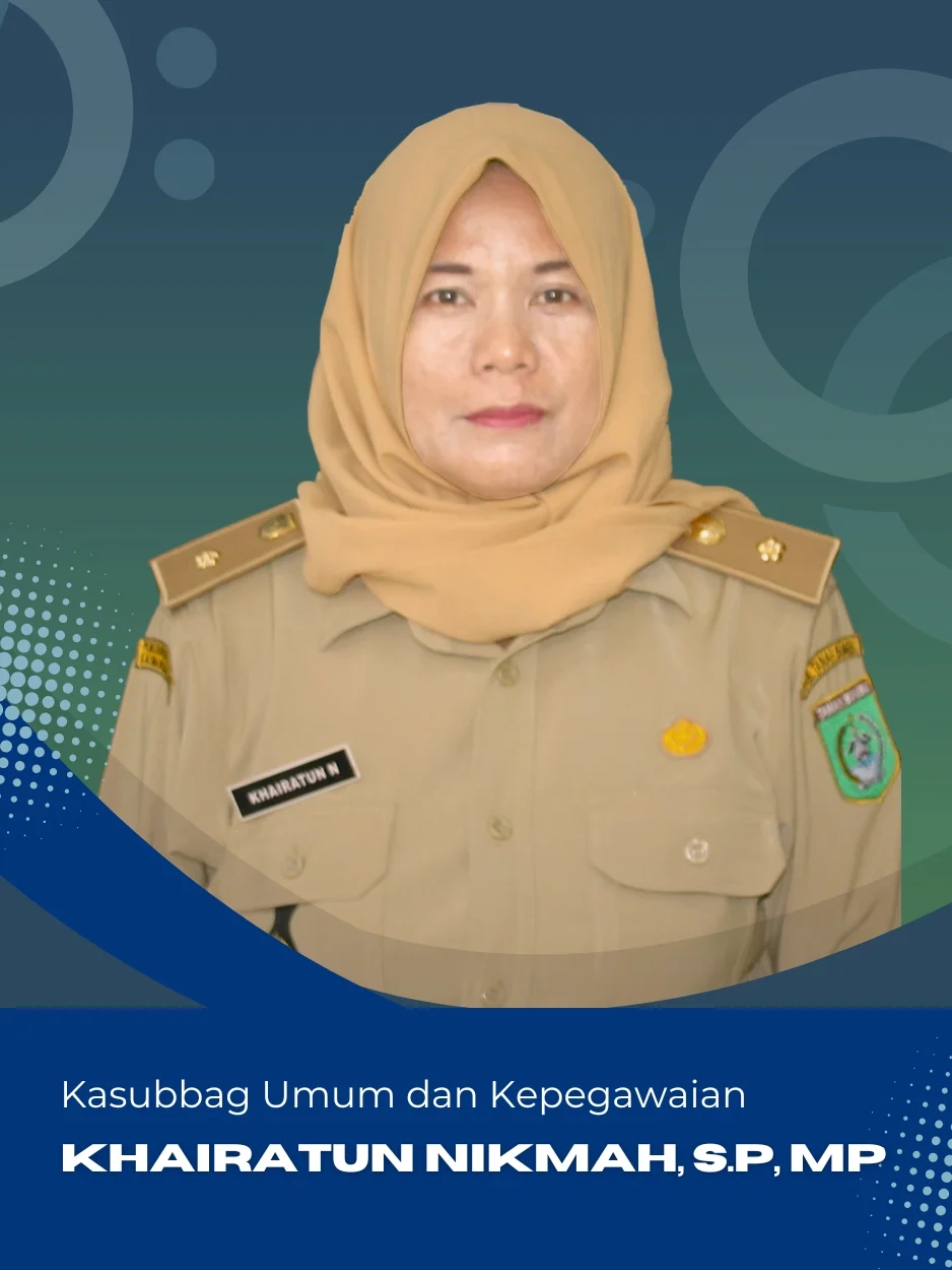so-umpeg1